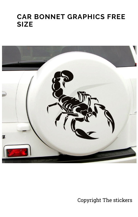Car Tyre Cover Graphics Custom Colors Free Size - The stickers
